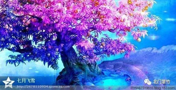 深入解读漂亮用英文怎么说?平台,精选好文分享知识星球